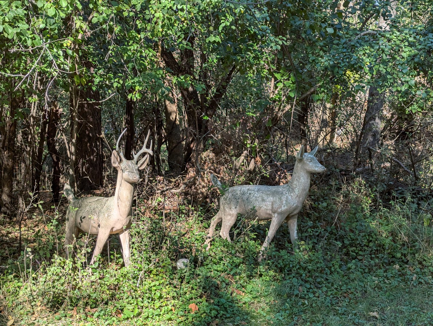 Image for Town of Merton 3-bedroom Ranch Home on 2+ acre Lot