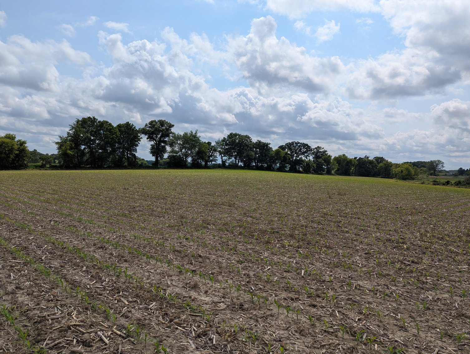 Image for Columbus, WI - 38 acre Vacant Land For Sale