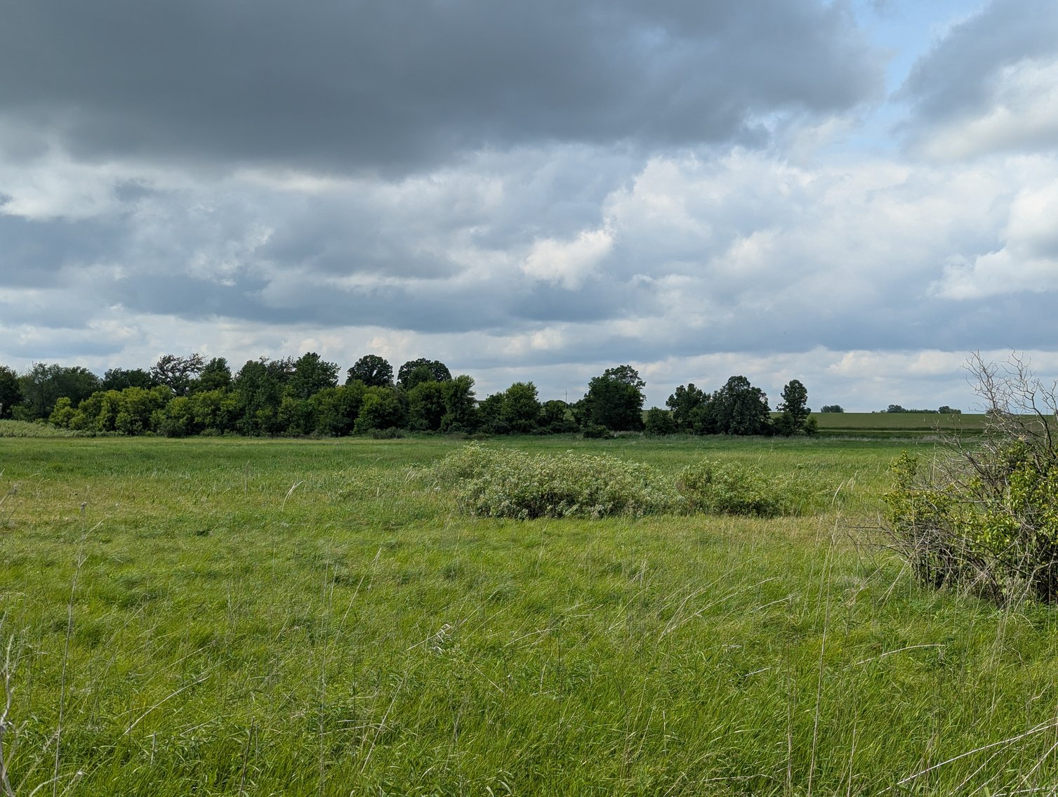 Image for Columbus, WI - 38 acre Vacant Land For Sale