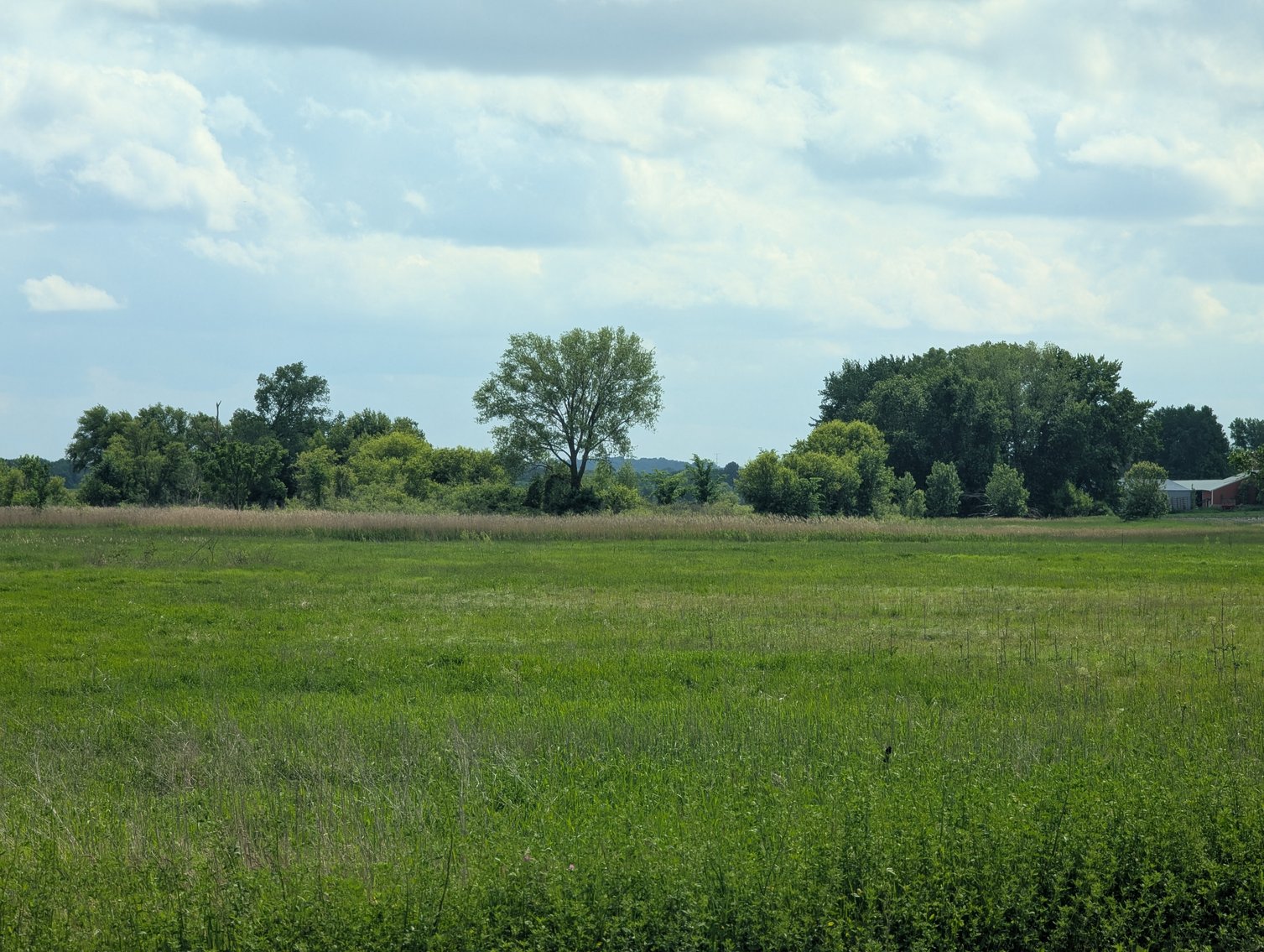 Image for Columbus, WI - 38 acre Vacant Land For Sale