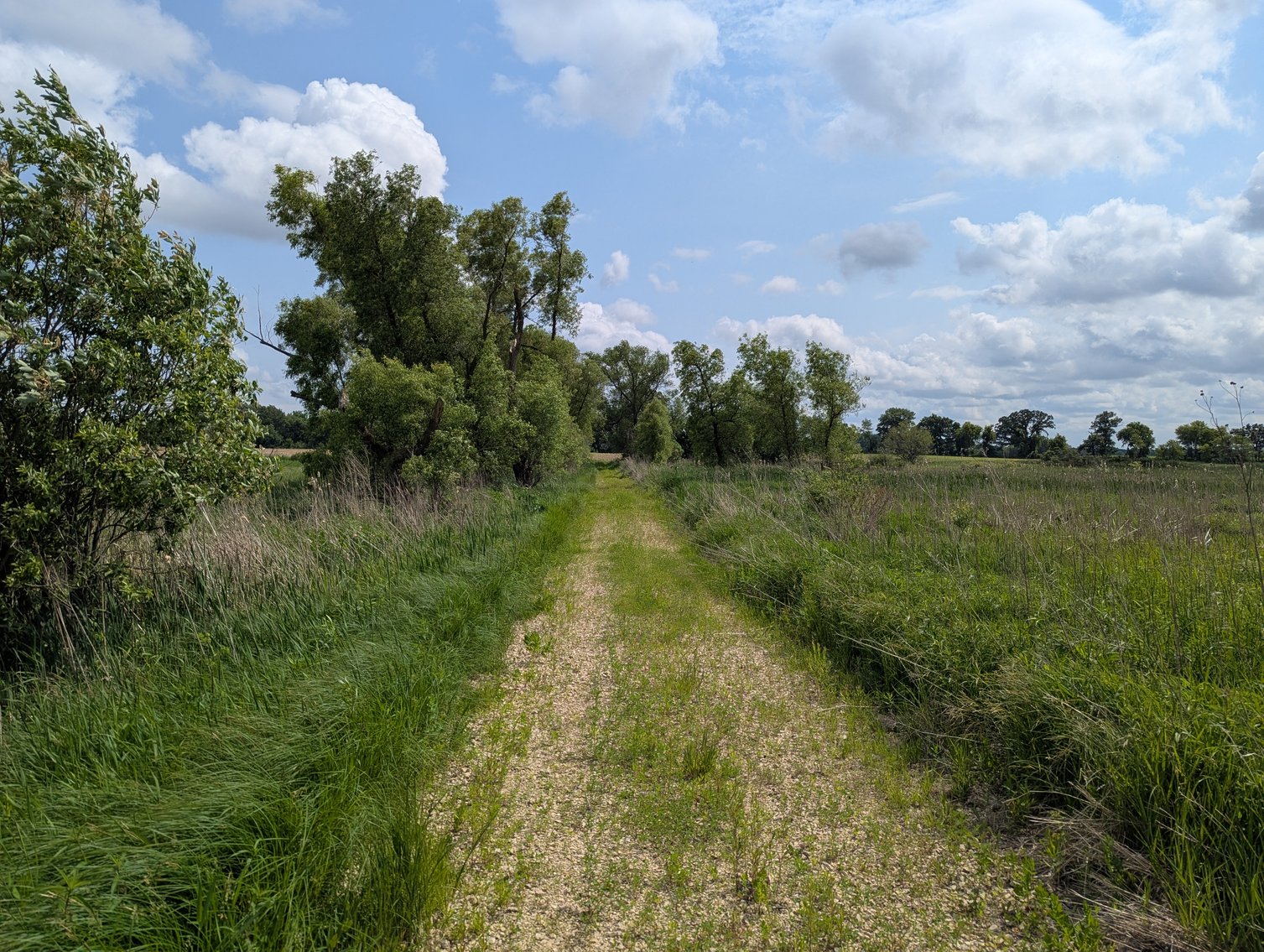 Image for Columbus, WI - 38 acre Vacant Land For Sale
