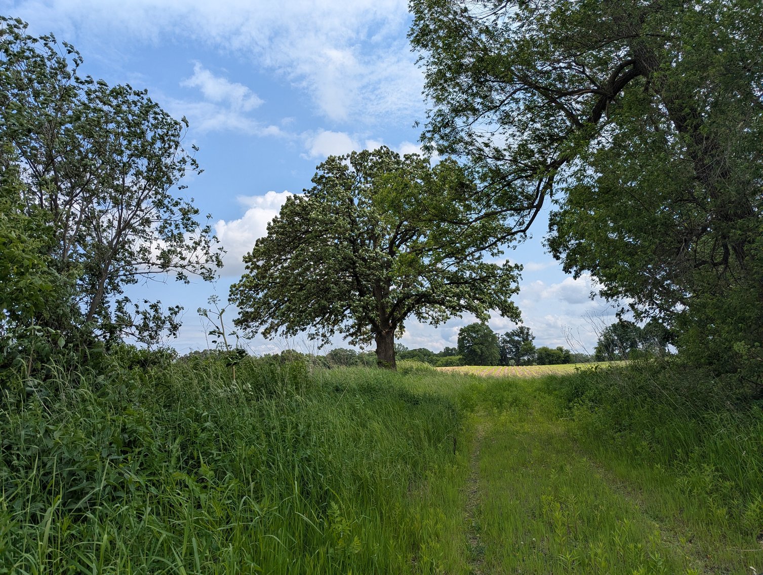 Image for Columbus, WI - 38 acre Vacant Land For Sale