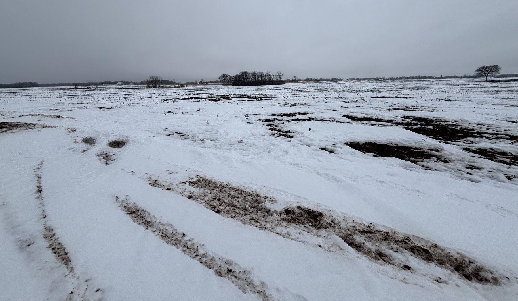 Image for Van Dyne Area 38-Acre Farm - Online Bidding