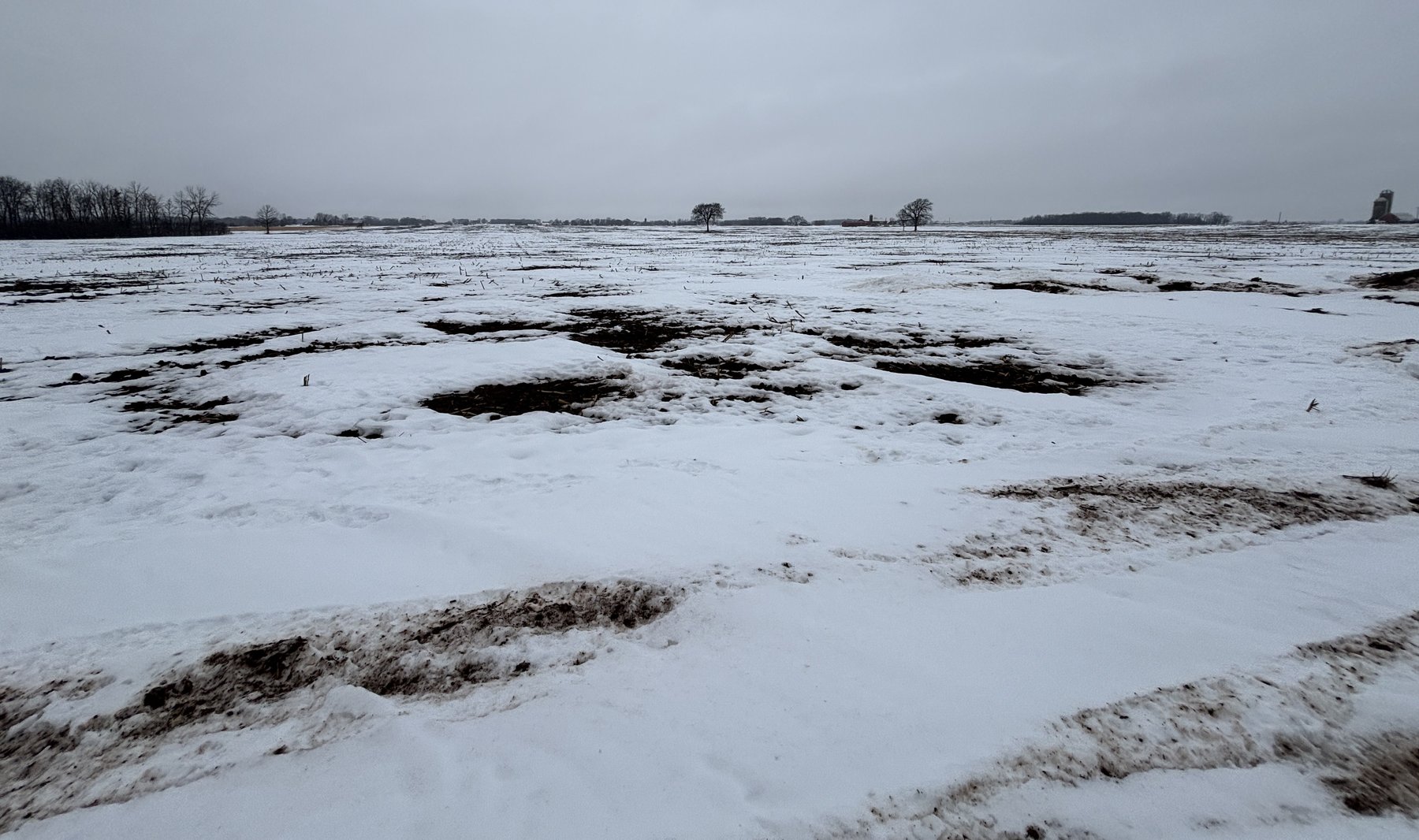 Image for Van Dyne Area 38-Acre Farm - Online Bidding