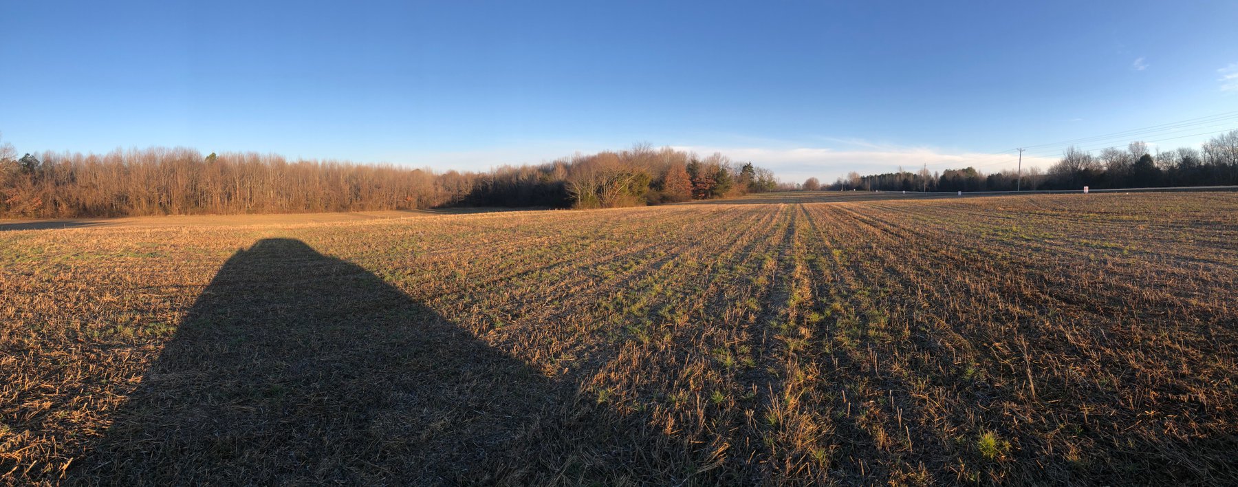 Image for Lots For Sale