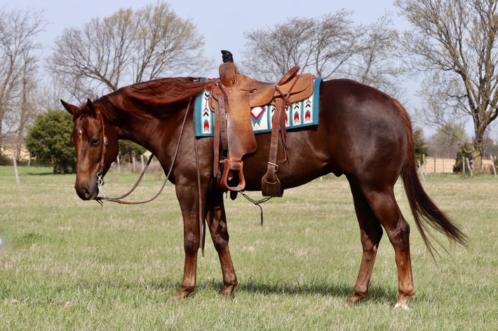 Image for May Online Sale