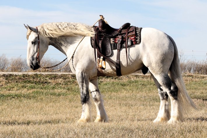 Image for May Online Sale