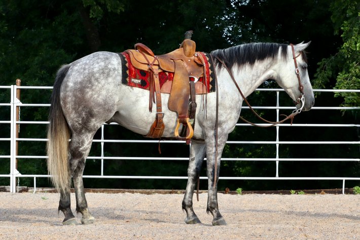 Image for May Online Sale