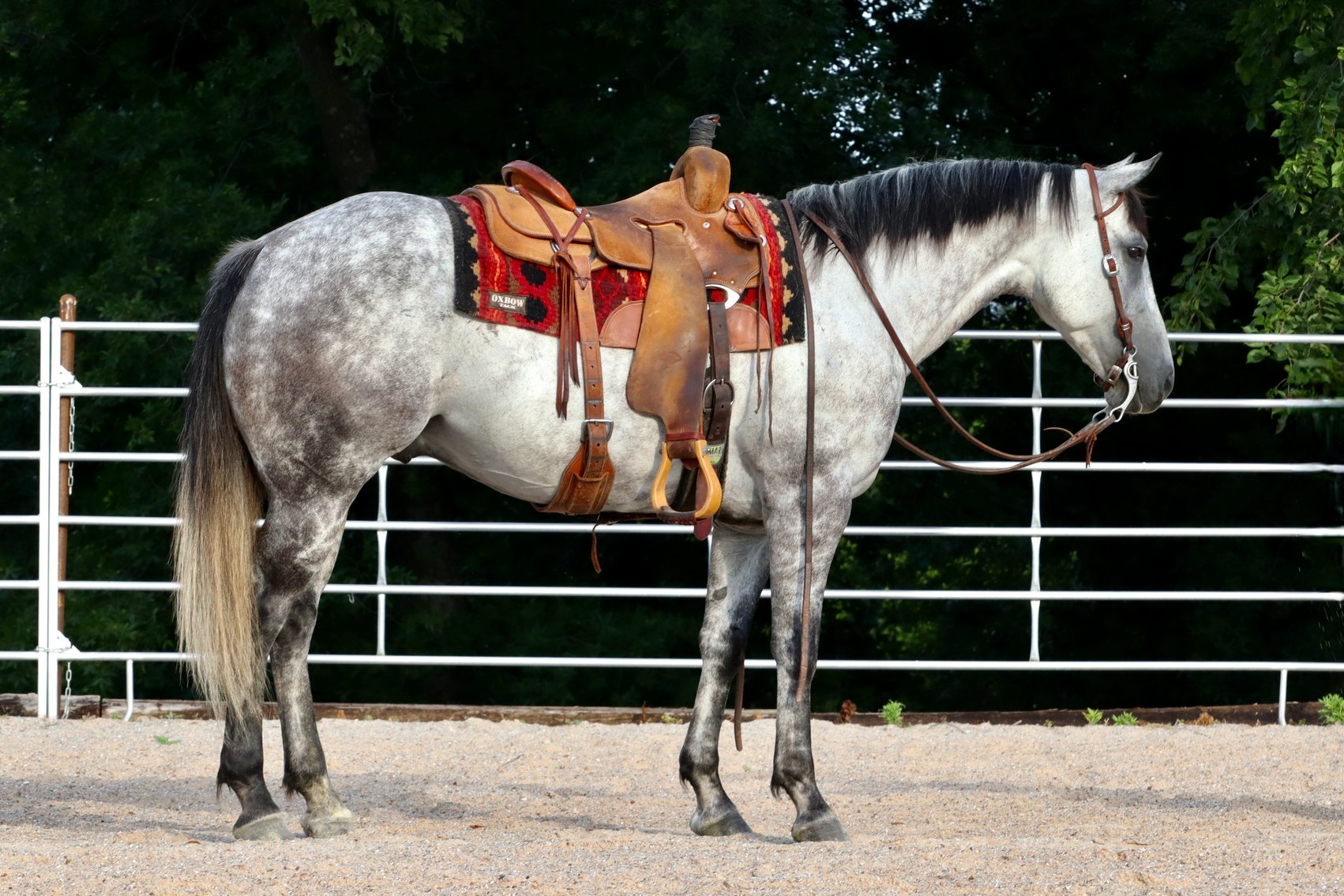 Image for May Online Sale