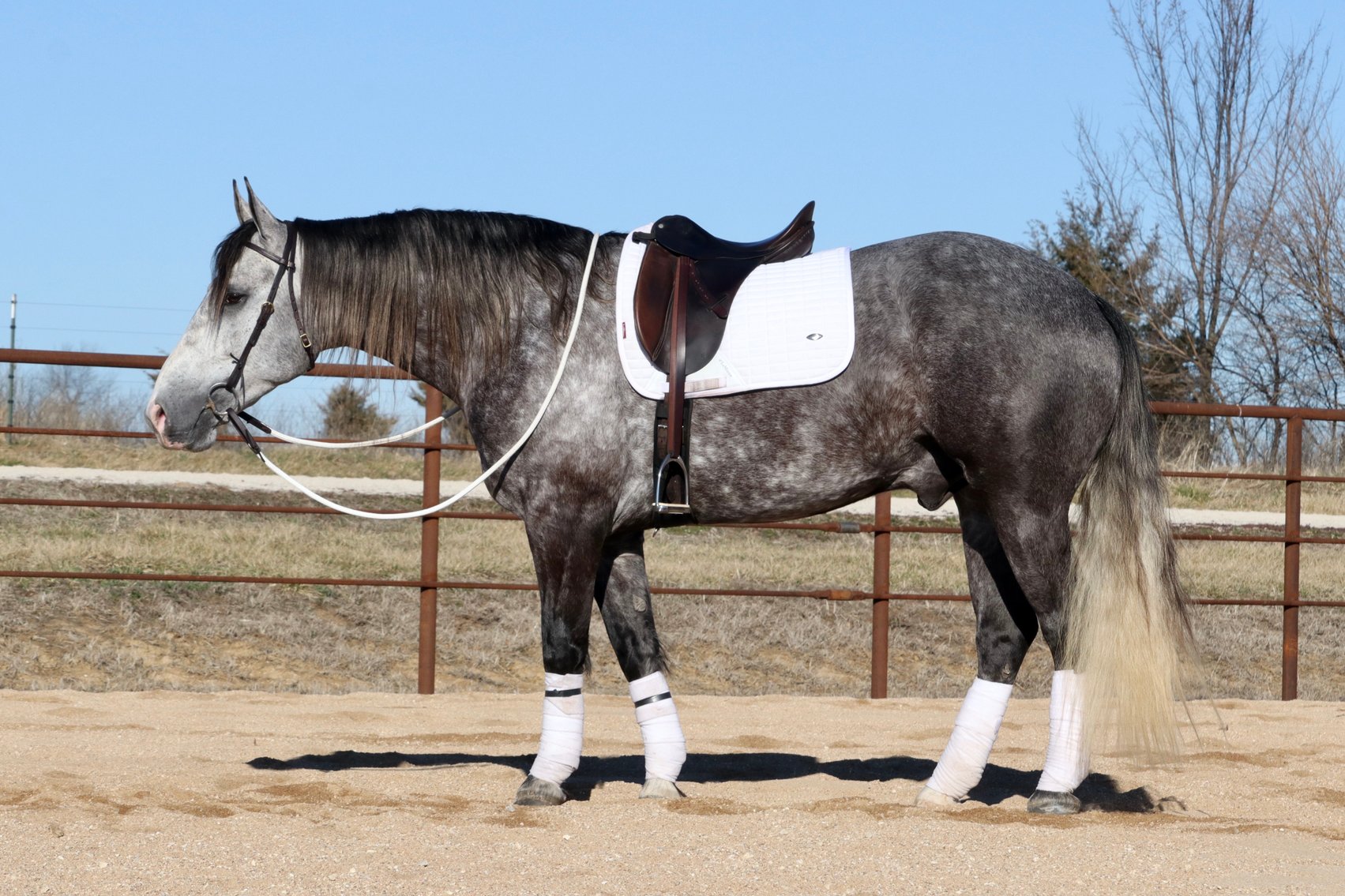 Image for May Online Sale