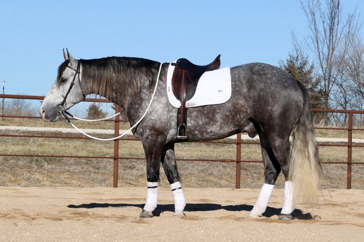 Image for May Online Sale