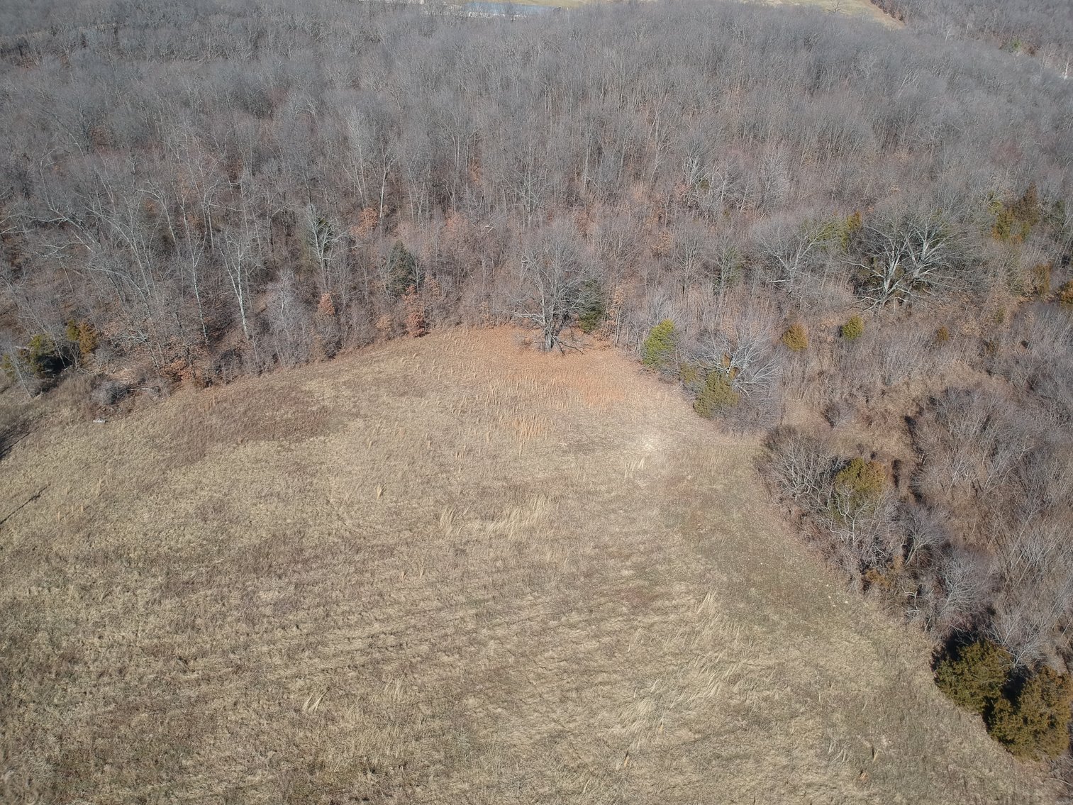 Image for 39.56 +/- Acres Hwy 34, Cape Girardeau County, MO (MLS #24011383)