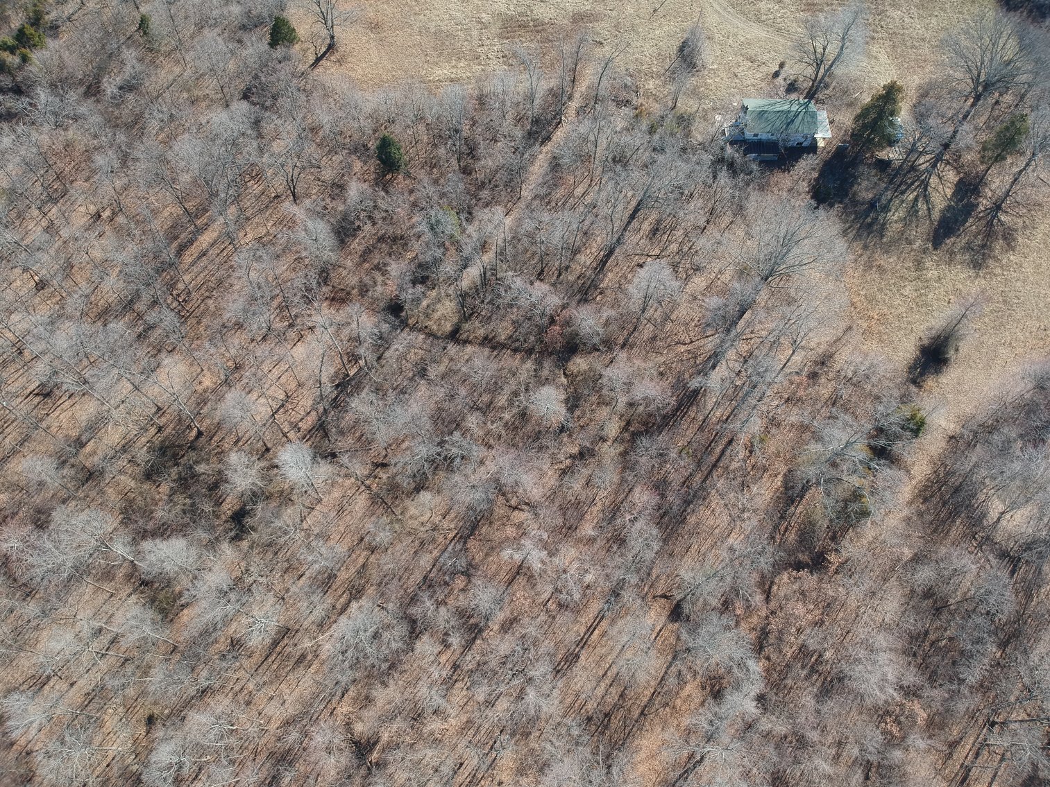 Image for 39.56 +/- Acres Hwy 34, Cape Girardeau County, MO (MLS #24011383)