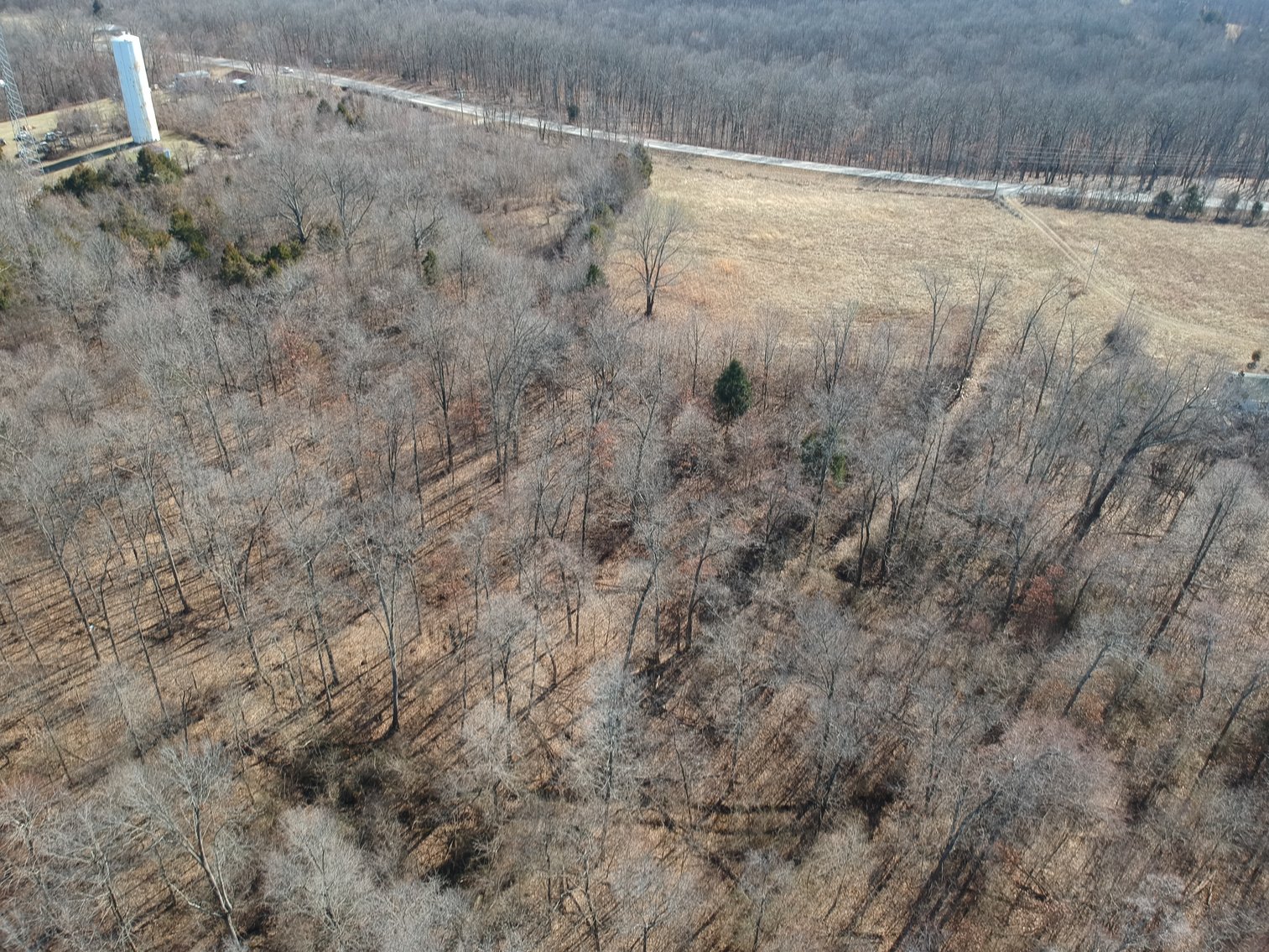 Image for 39.56 +/- Acres Hwy 34, Cape Girardeau County, MO (MLS #24011383)