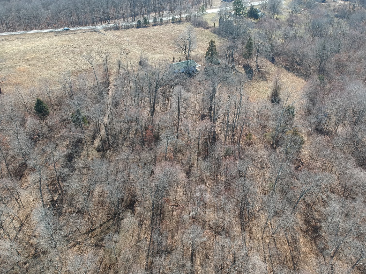 Image for 39.56 +/- Acres Hwy 34, Cape Girardeau County, MO (MLS #24011383)
