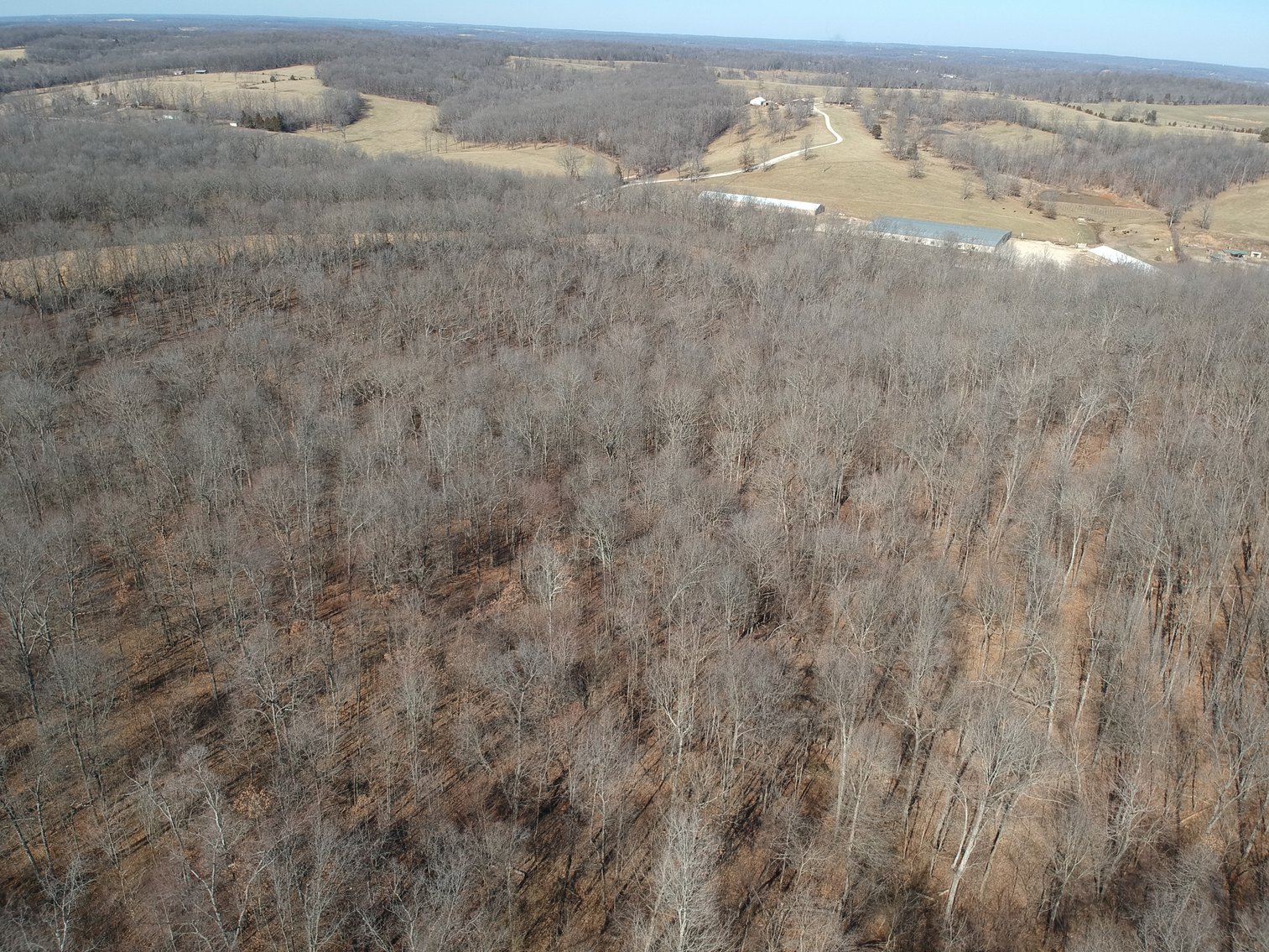 Image for 39.56 +/- Acres Hwy 34, Cape Girardeau County, MO (MLS #24011383)