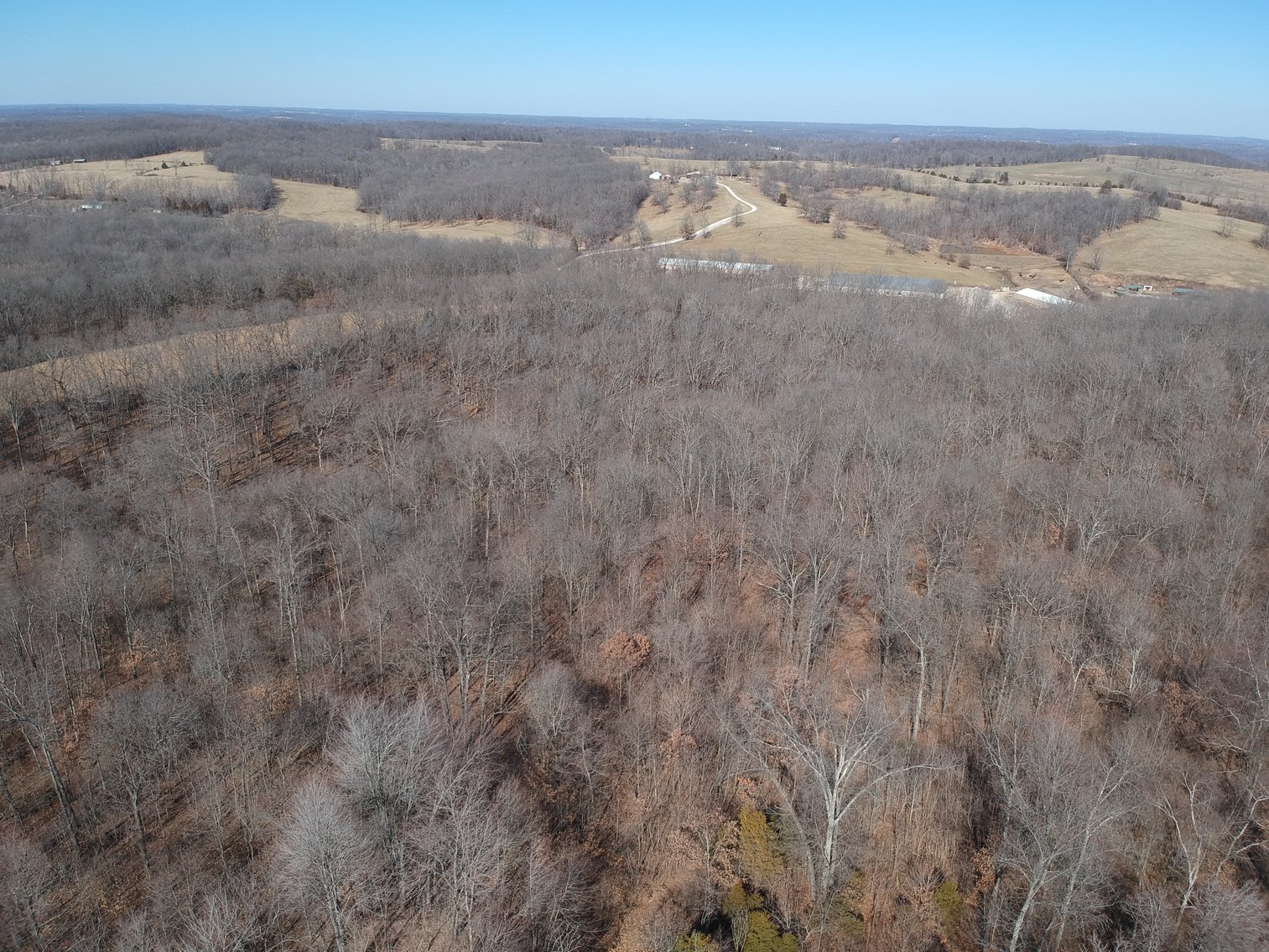 Image for 39.56 +/- Acres Hwy 34, Cape Girardeau County, MO (MLS #24011383)