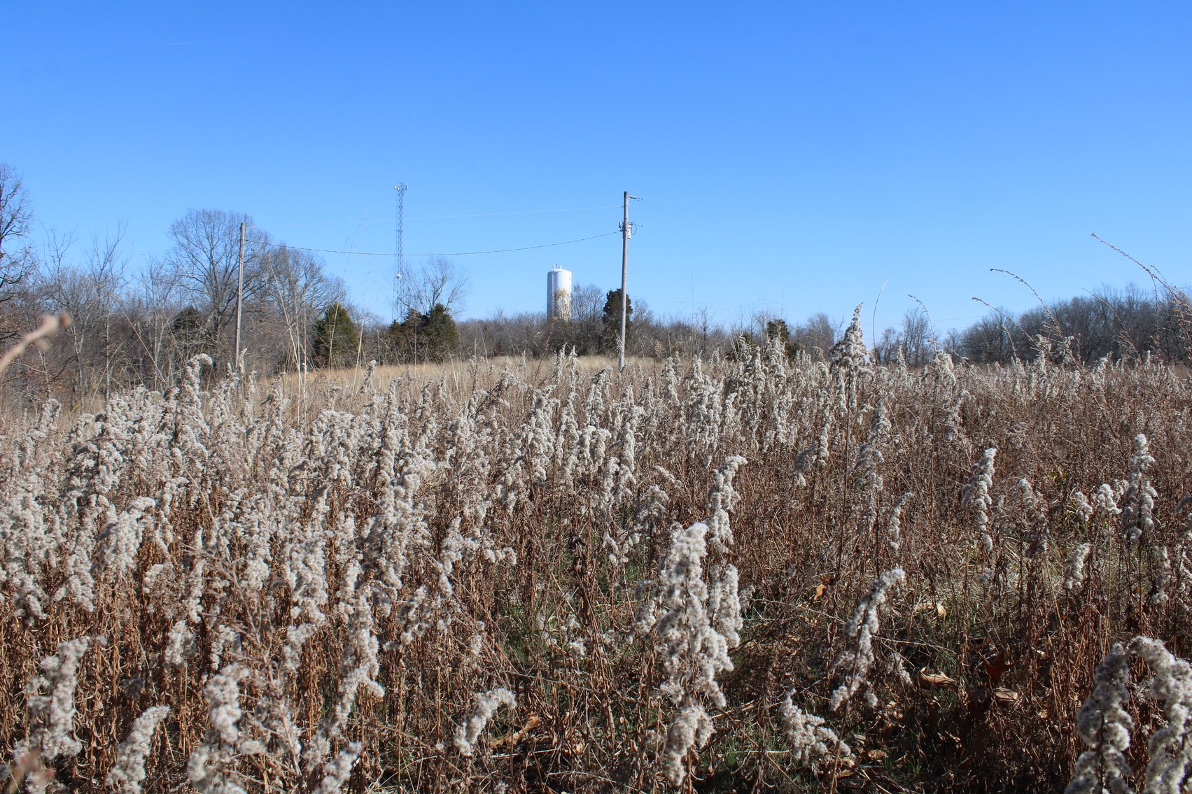 Image for 39.56 +/- Acres Hwy 34, Cape Girardeau County, MO (MLS #24011383)