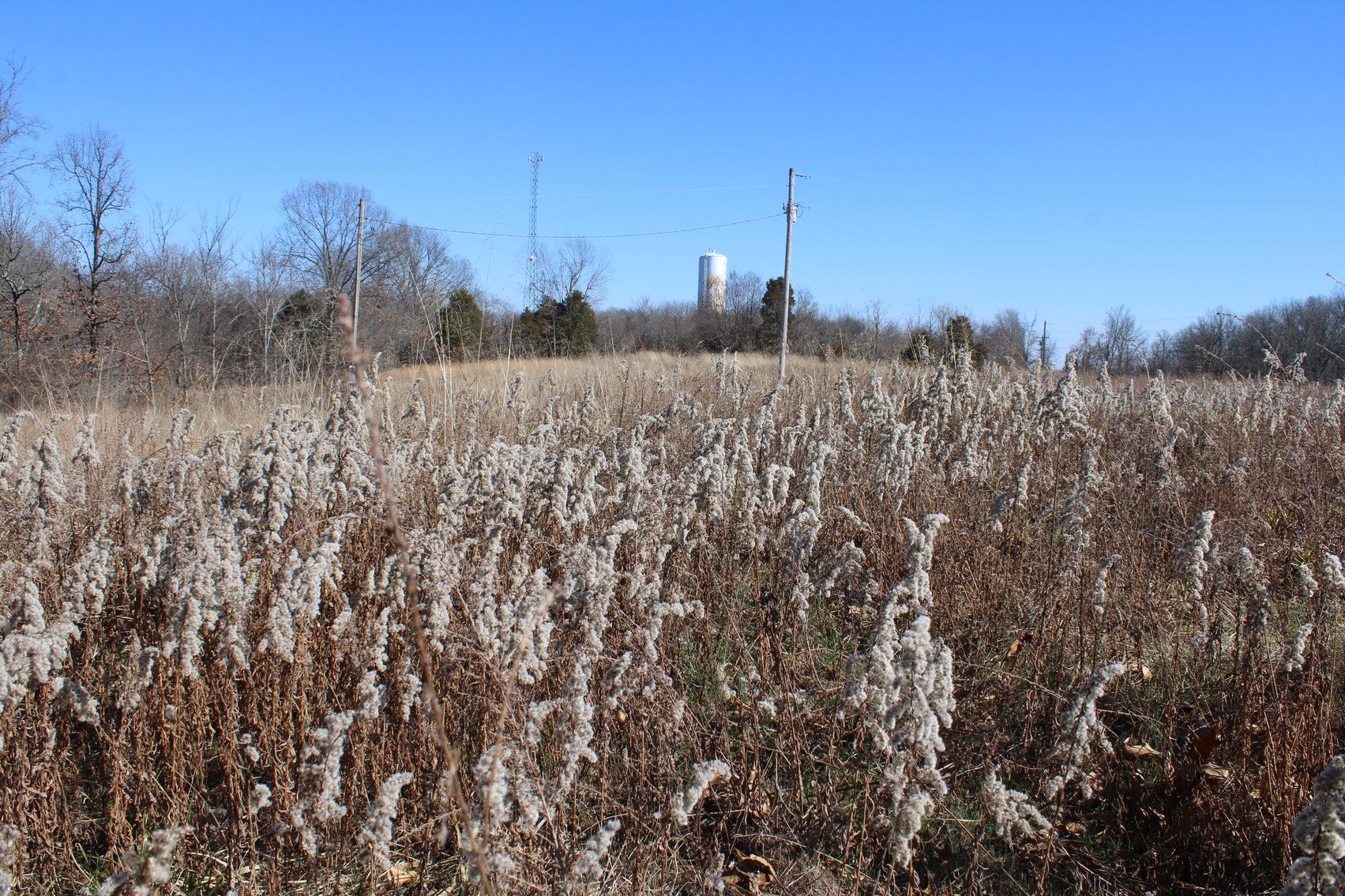 Image for 39.56 +/- Acres Hwy 34, Cape Girardeau County, MO (MLS #24011383)