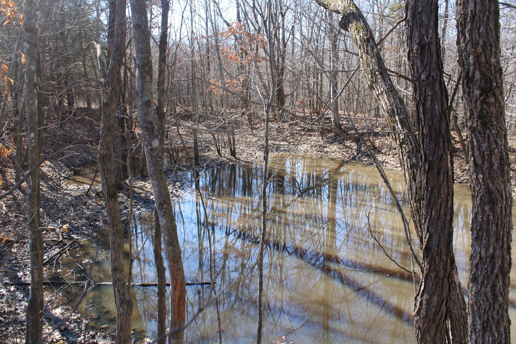 Image for 39.56 +/- Acres Hwy 34, Cape Girardeau County, MO (MLS #24011383)