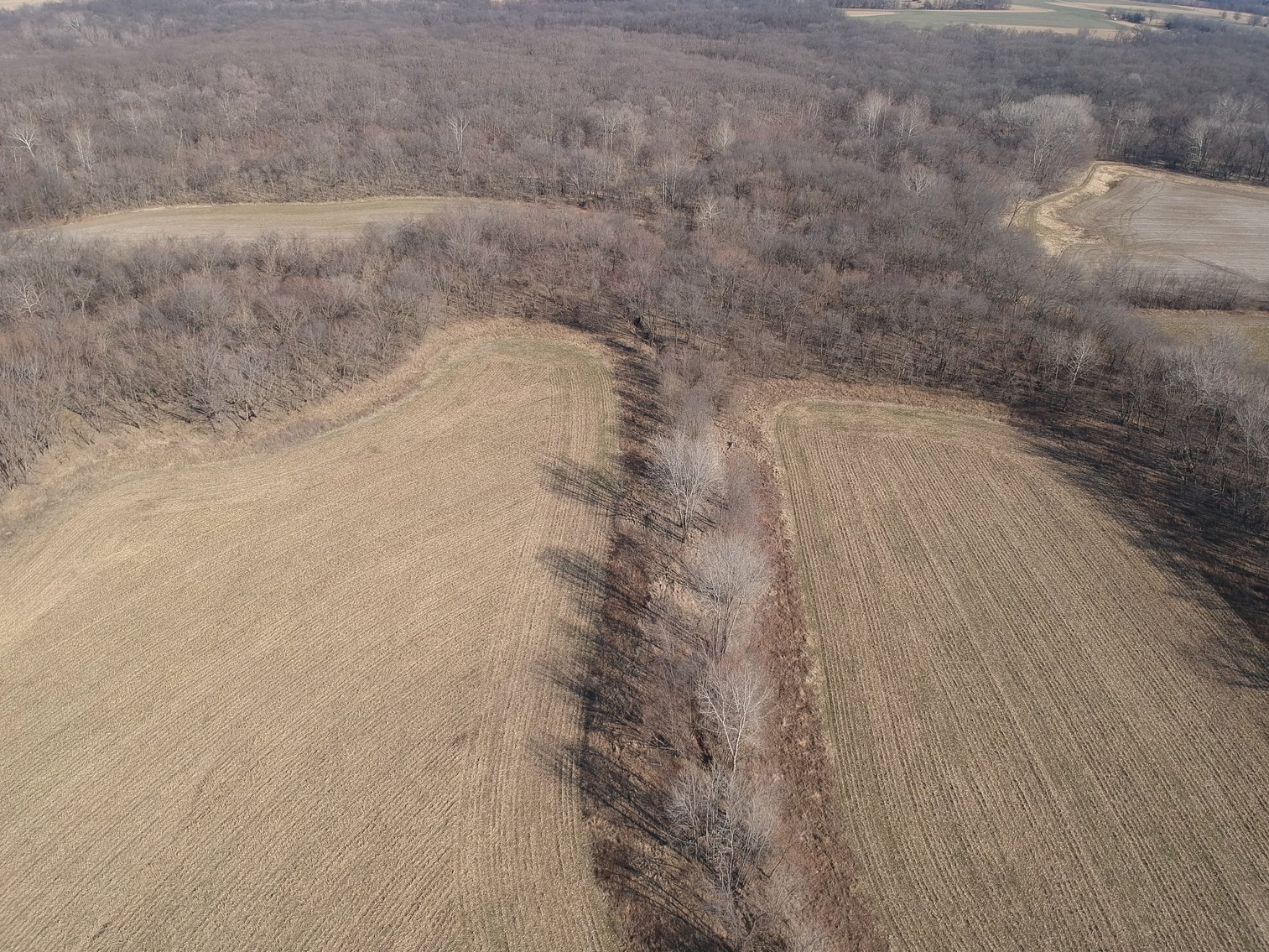 Image for 115 +/- Acres, 923 Monroe, Madison, MO 65263 (MLS # 24010762)