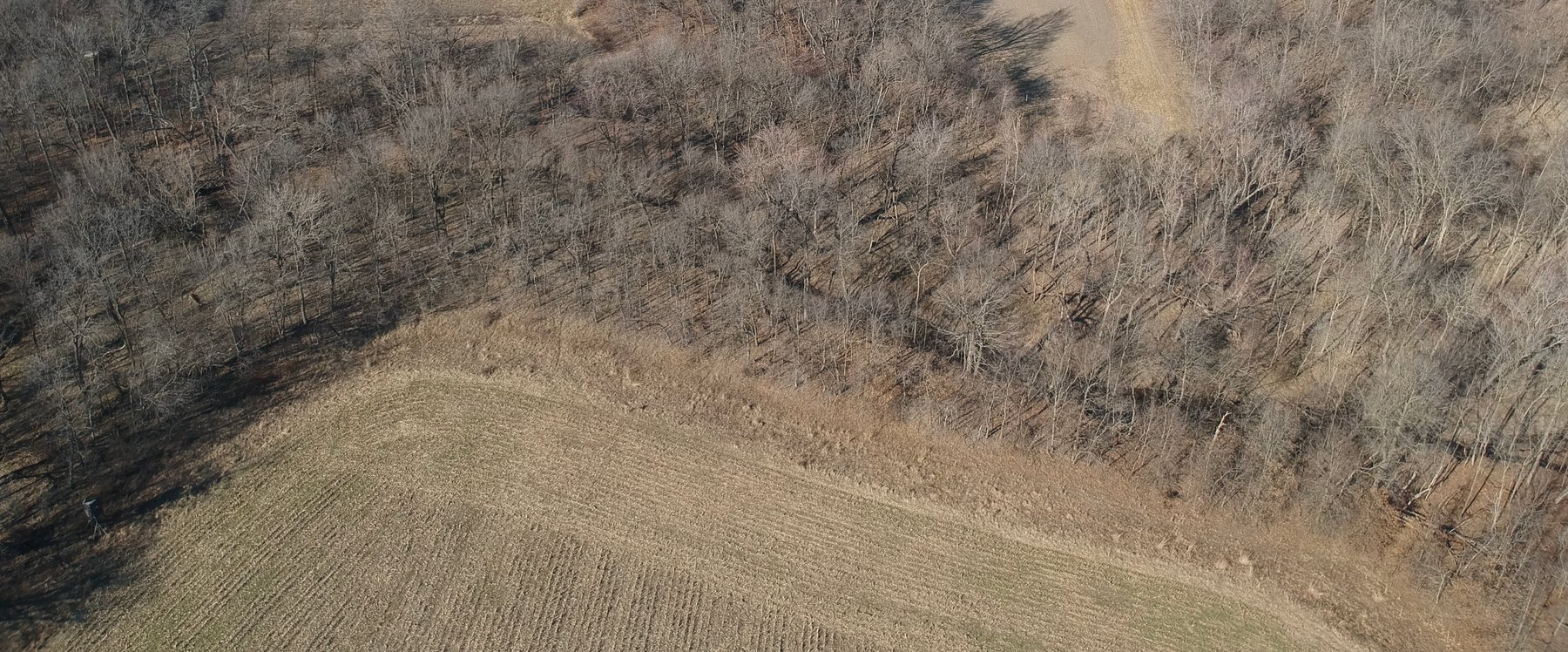 Image for 115 +/- Acres, 923 Monroe, Madison, MO 65263 (MLS # 24010762)