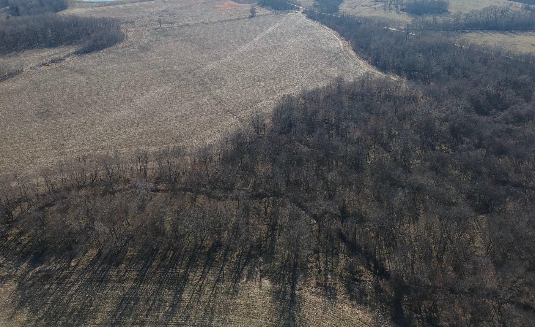 Image for 115 +/- Acres, 923 Monroe, Madison, MO 65263 (MLS # 24010762)