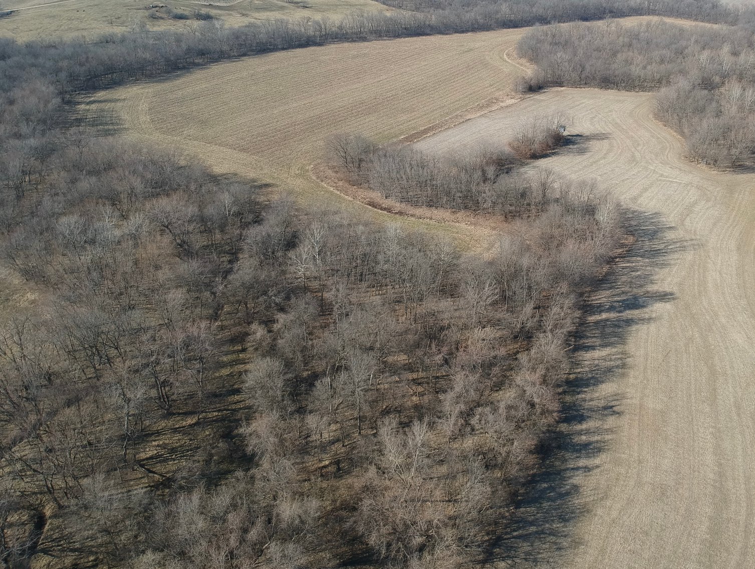 Image for 115 +/- Acres, 923 Monroe, Madison, MO 65263 (MLS # 24010762)