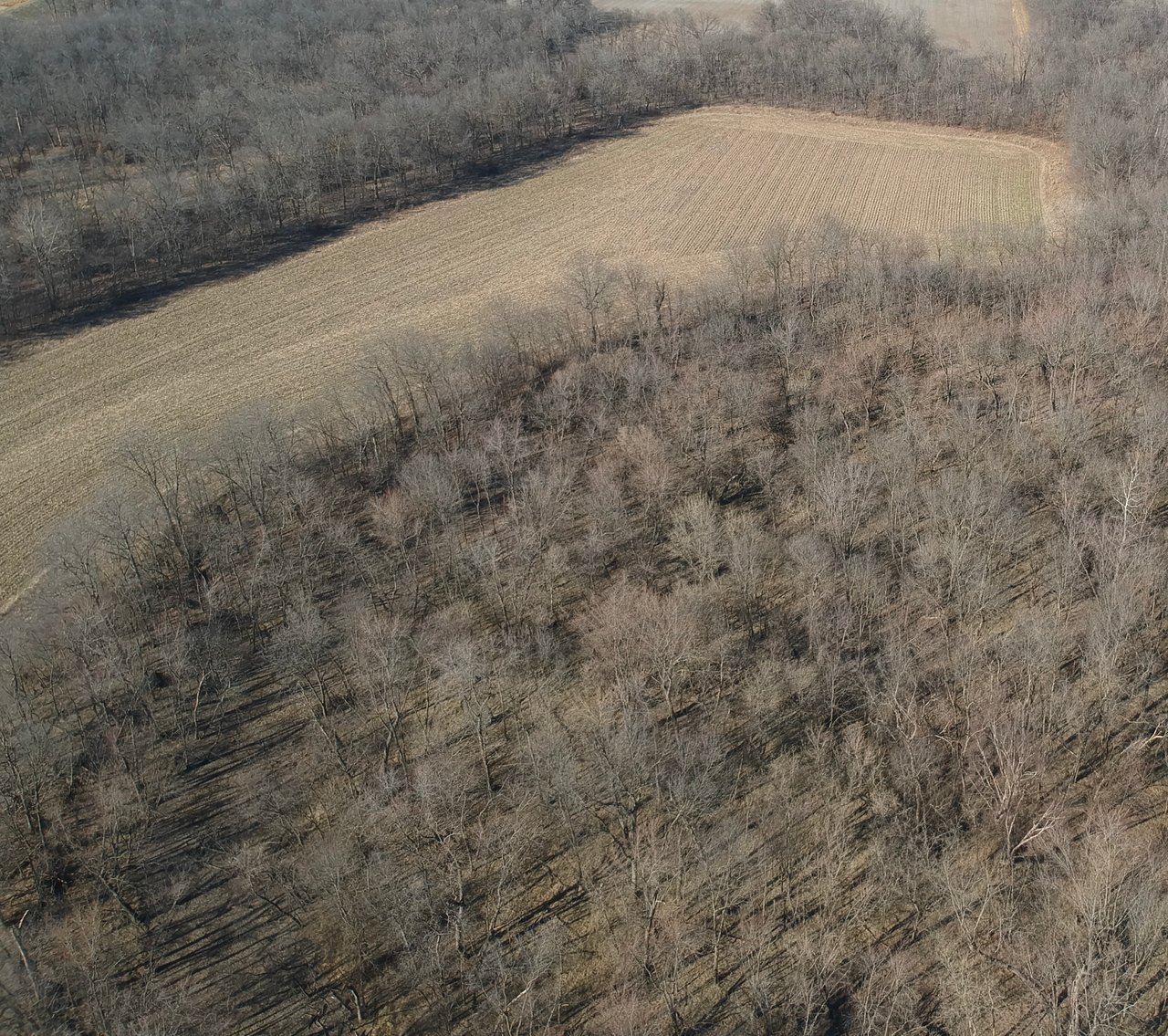 Image for 115 +/- Acres, 923 Monroe, Madison, MO 65263 (MLS # 24010762)