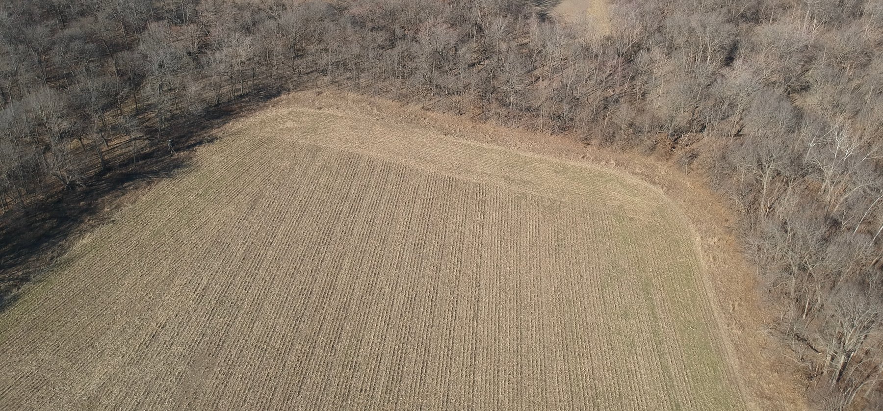 Image for 115 +/- Acres, 923 Monroe, Madison, MO 65263 (MLS # 24010762)