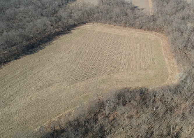 Image for 115 +/- Acres, 923 Monroe, Madison, MO 65263 (MLS # 24010762)