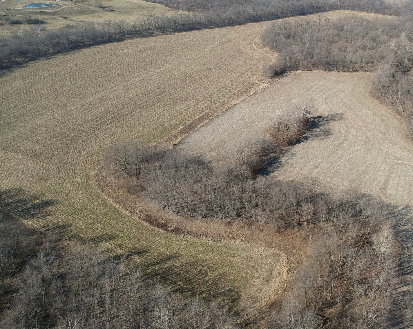 Image for 115 +/- Acres, 923 Monroe, Madison, MO 65263 (MLS # 24010762)