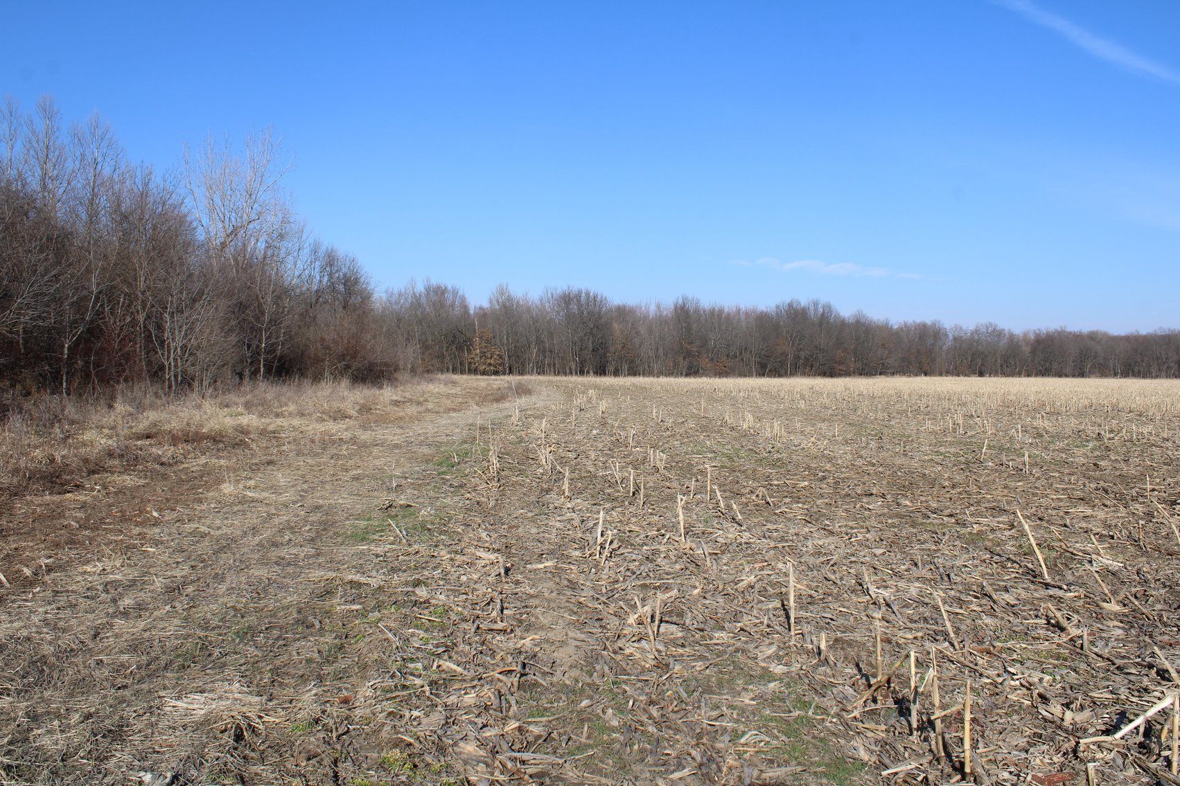 Image for 115 +/- Acres, 923 Monroe, Madison, MO 65263 (MLS # 24010762)