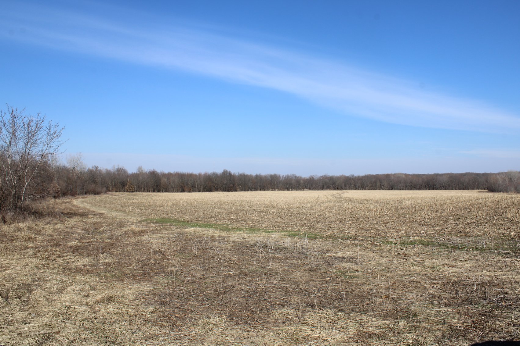 Image for 115 +/- Acres, 923 Monroe, Madison, MO 65263 (MLS # 24010762)