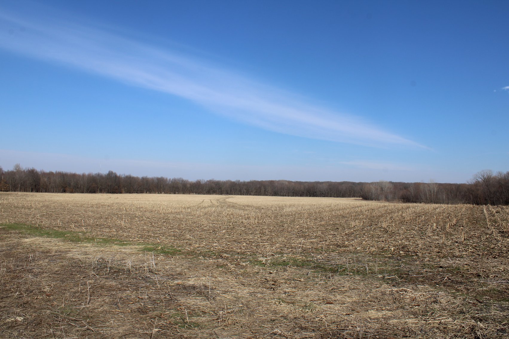 Image for 115 +/- Acres, 923 Monroe, Madison, MO 65263 (MLS # 24010762)