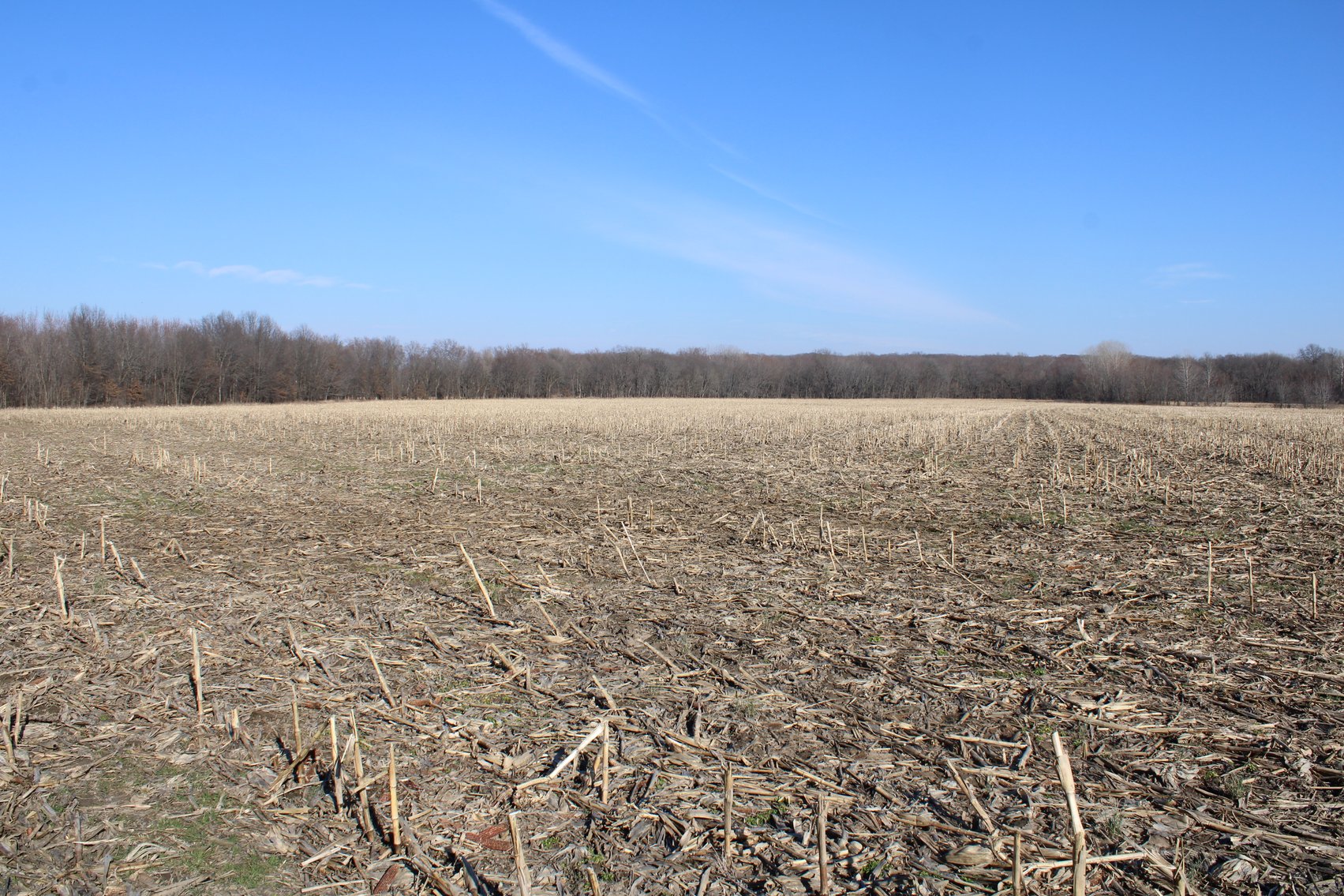 Image for 115 +/- Acres, 923 Monroe, Madison, MO 65263 (MLS # 24010762)