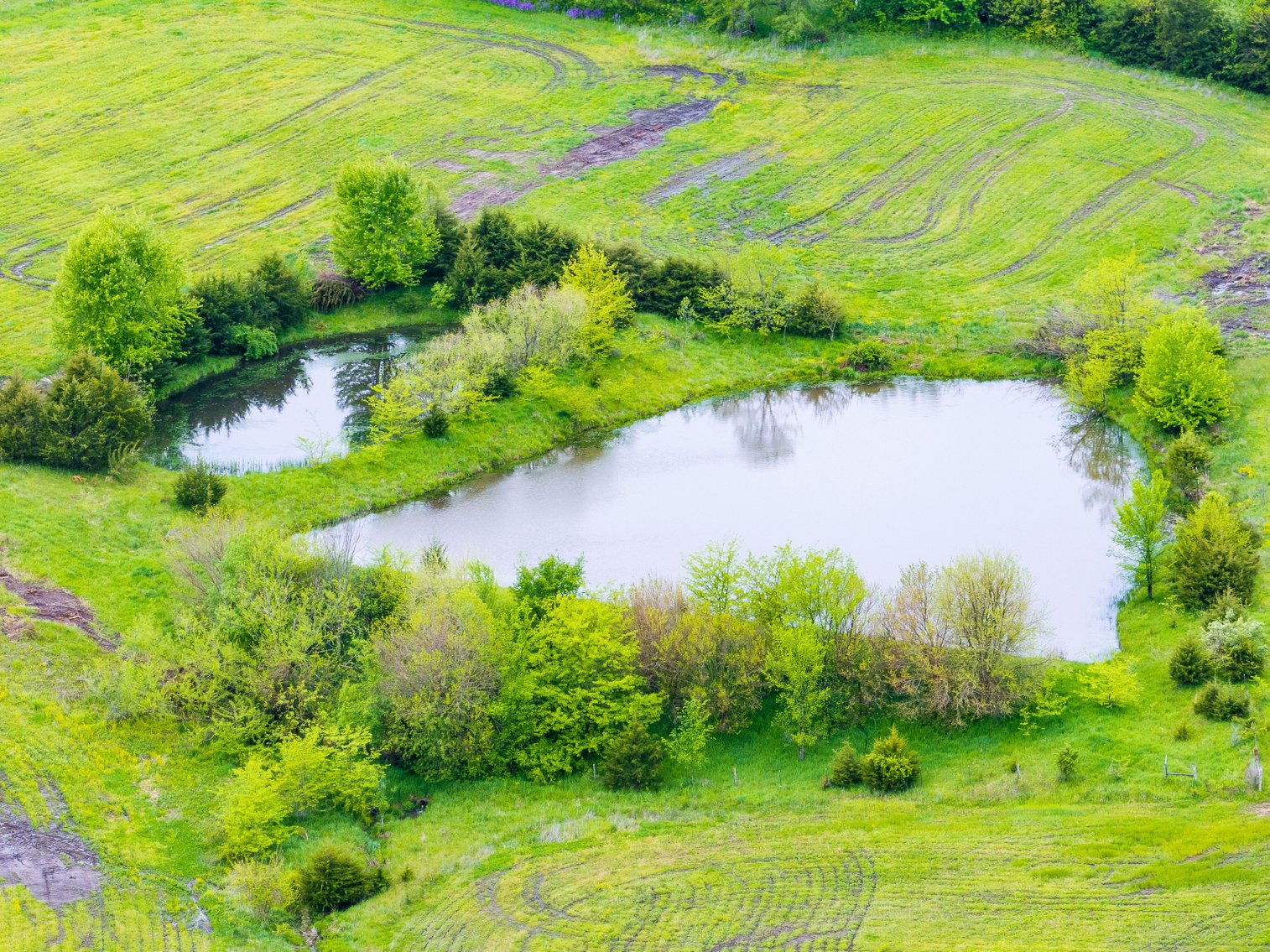 Image for 129.73 acres m/l, Hwy 6, Humphreys MO 64646, MLS 24026595