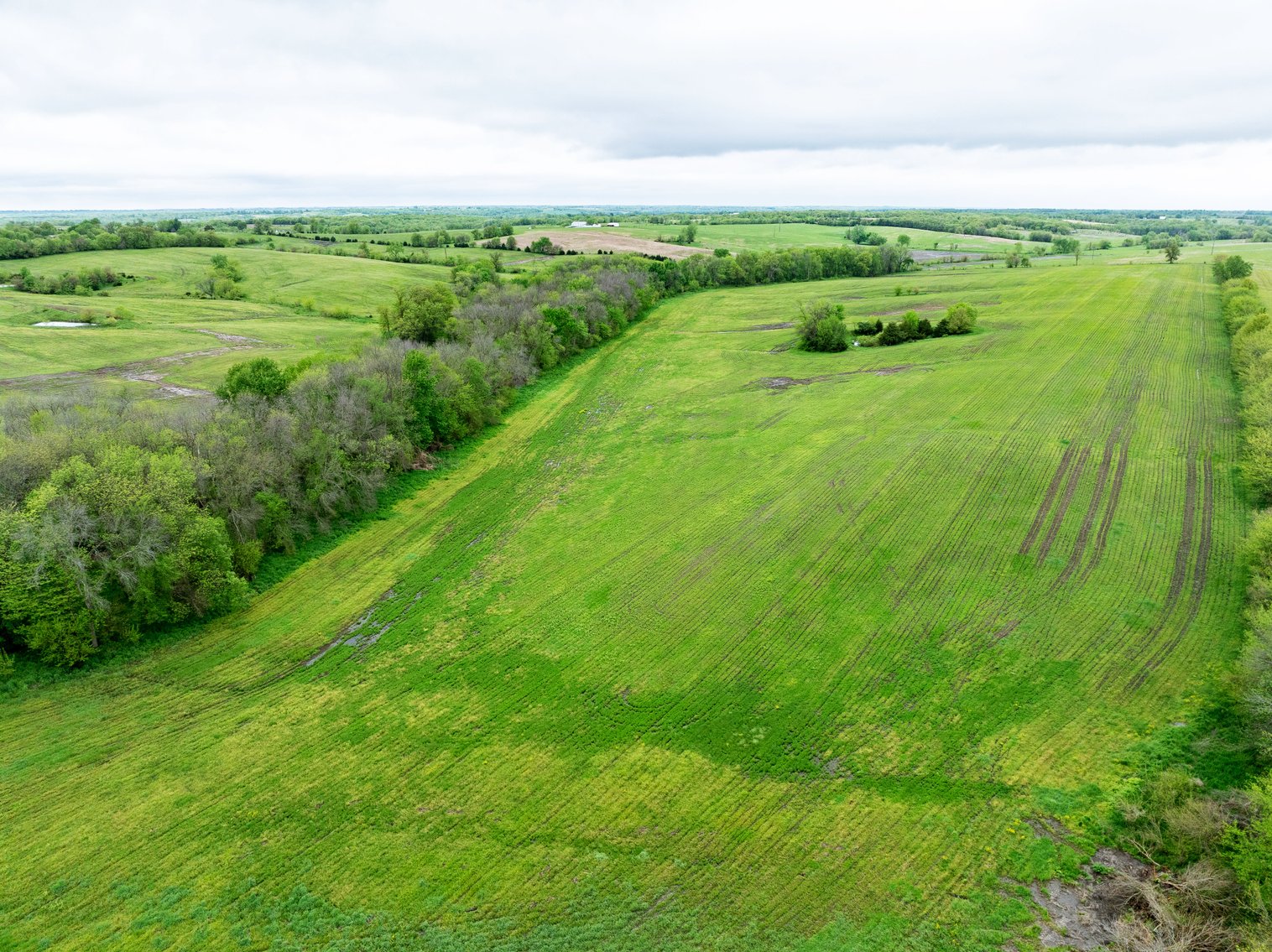 Image for 129.73 acres m/l, Hwy 6, Humphreys MO 64646, MLS 24026595