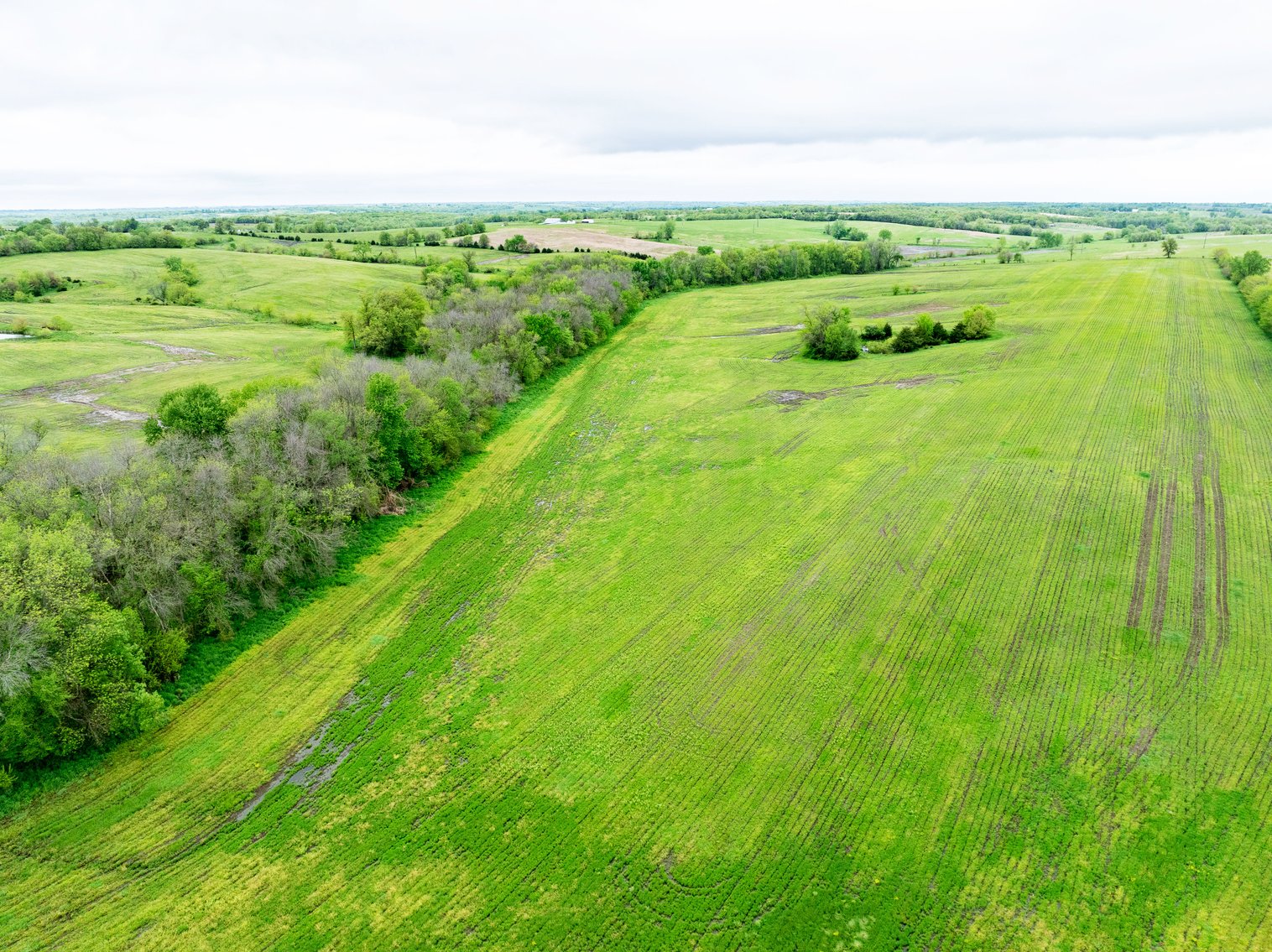 Image for 129.73 acres m/l, Hwy 6, Humphreys MO 64646, MLS 24026595