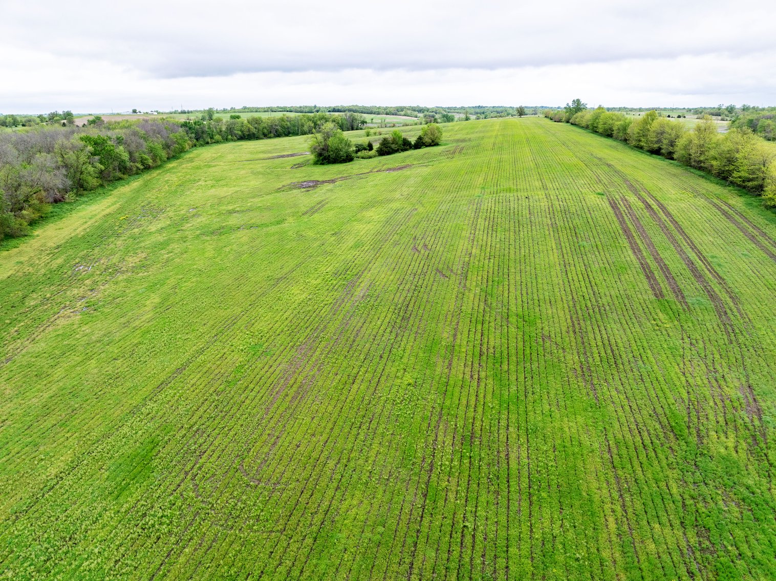 Image for 129.73 acres m/l, Hwy 6, Humphreys MO 64646, MLS 24026595