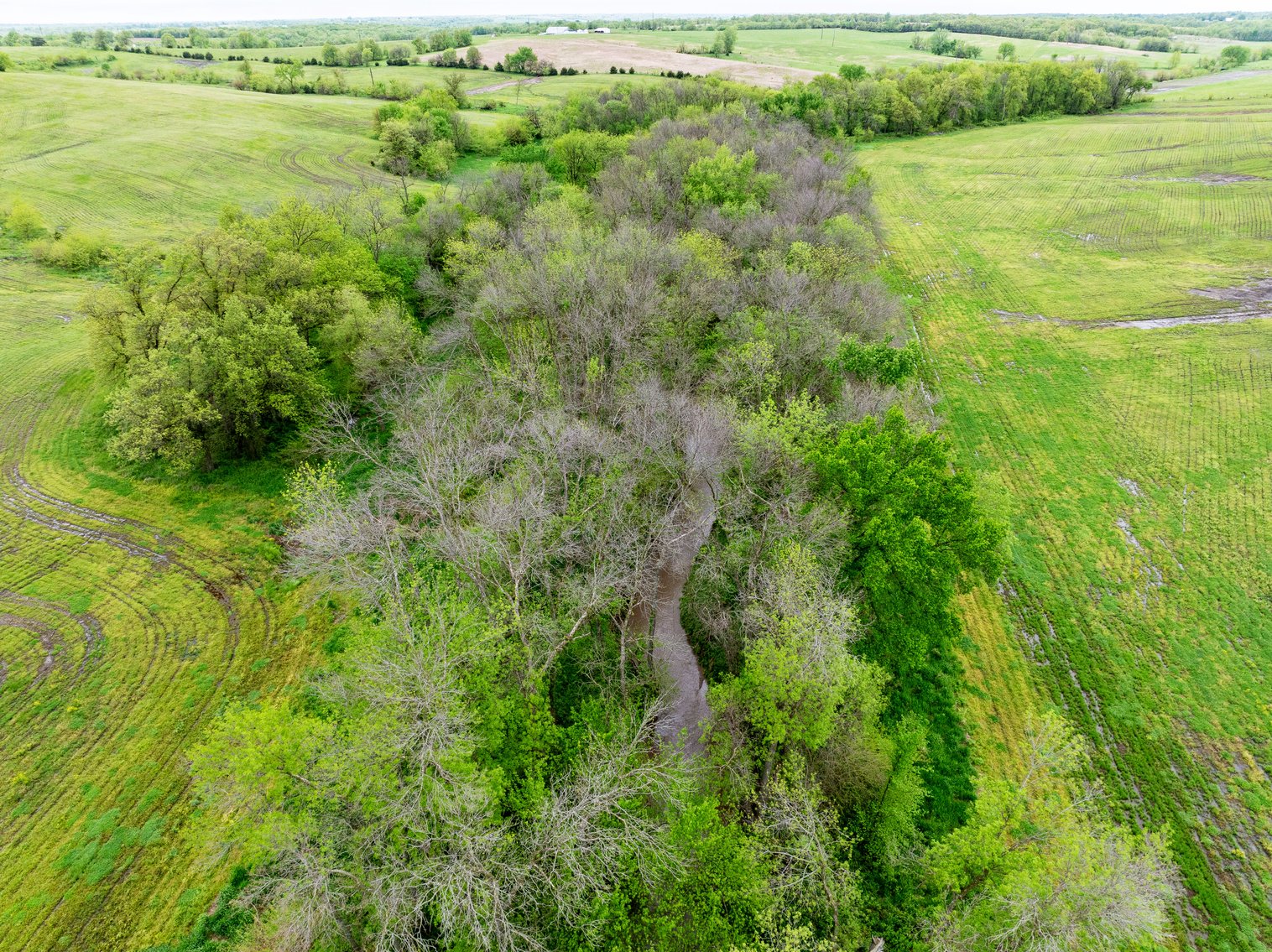 Image for 129.73 acres m/l, Hwy 6, Humphreys MO 64646, MLS 24026595