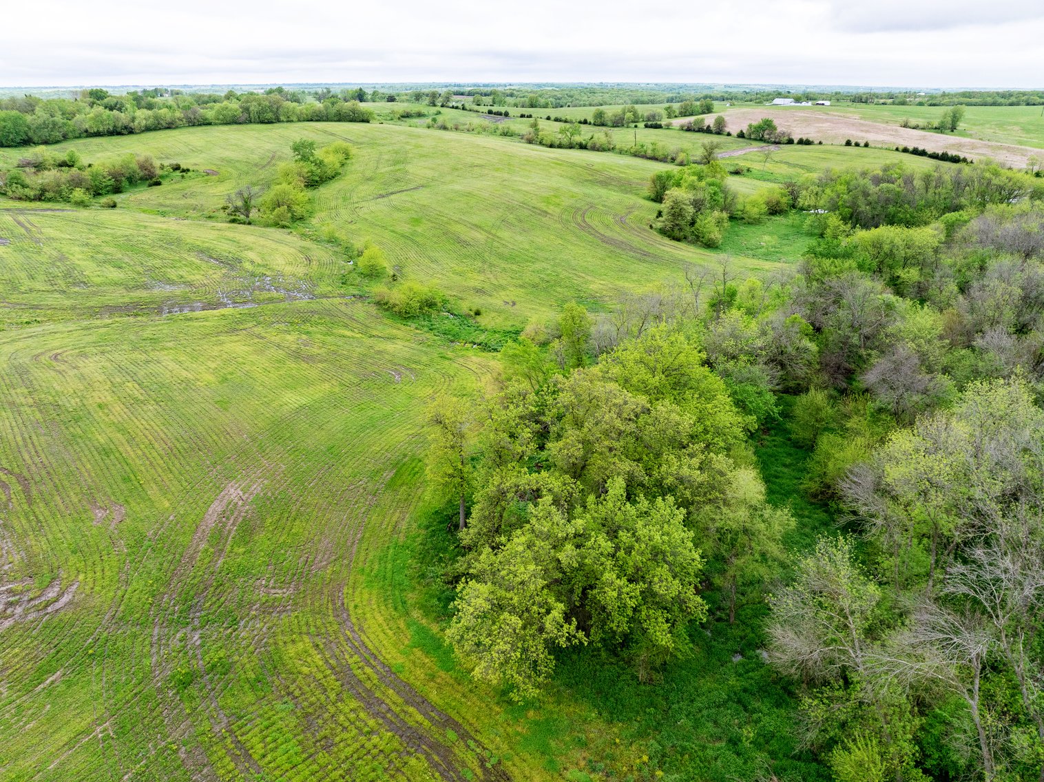 Image for 129.73 acres m/l, Hwy 6, Humphreys MO 64646, MLS 24026595