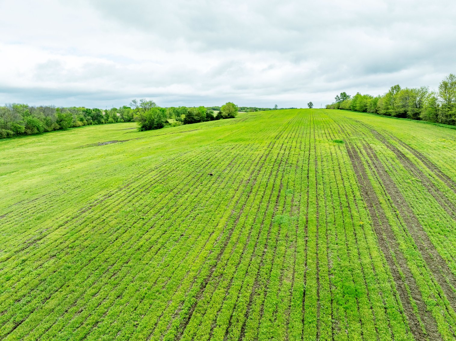 Image for 129.73 acres m/l, Hwy 6, Humphreys MO 64646, MLS 24026595