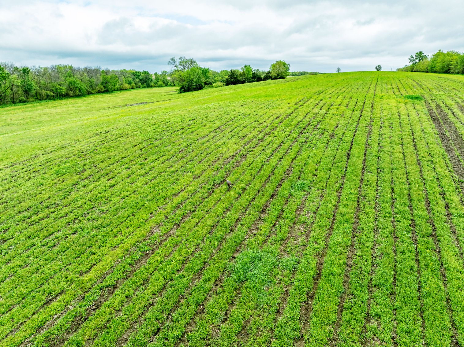 Image for 129.73 acres m/l, Hwy 6, Humphreys MO 64646, MLS 24026595