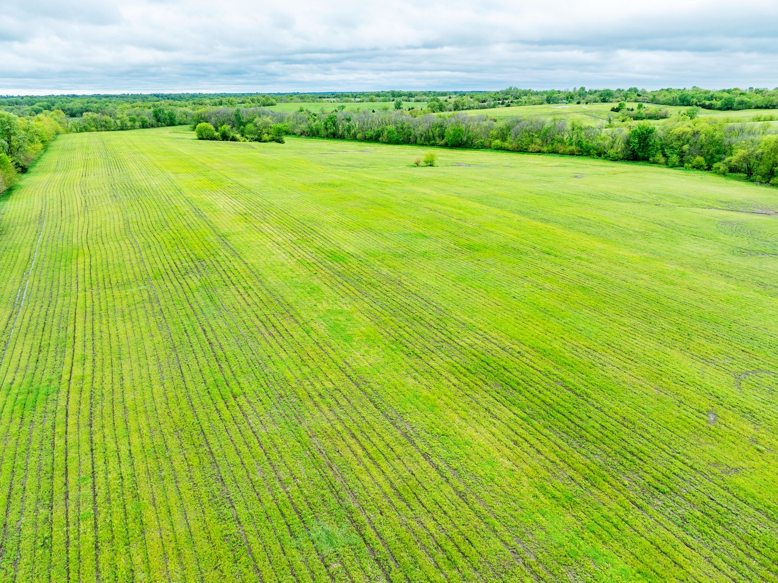 Image for 129.73 acres m/l, Hwy 6, Humphreys MO 64646, MLS 24026595