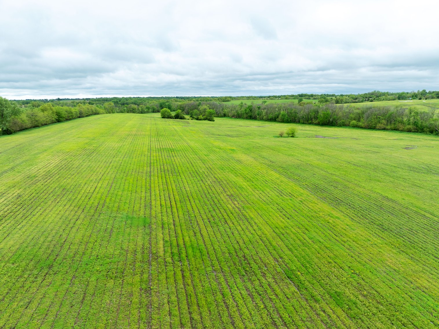 Image for 129.73 acres m/l, Hwy 6, Humphreys MO 64646, MLS 24026595