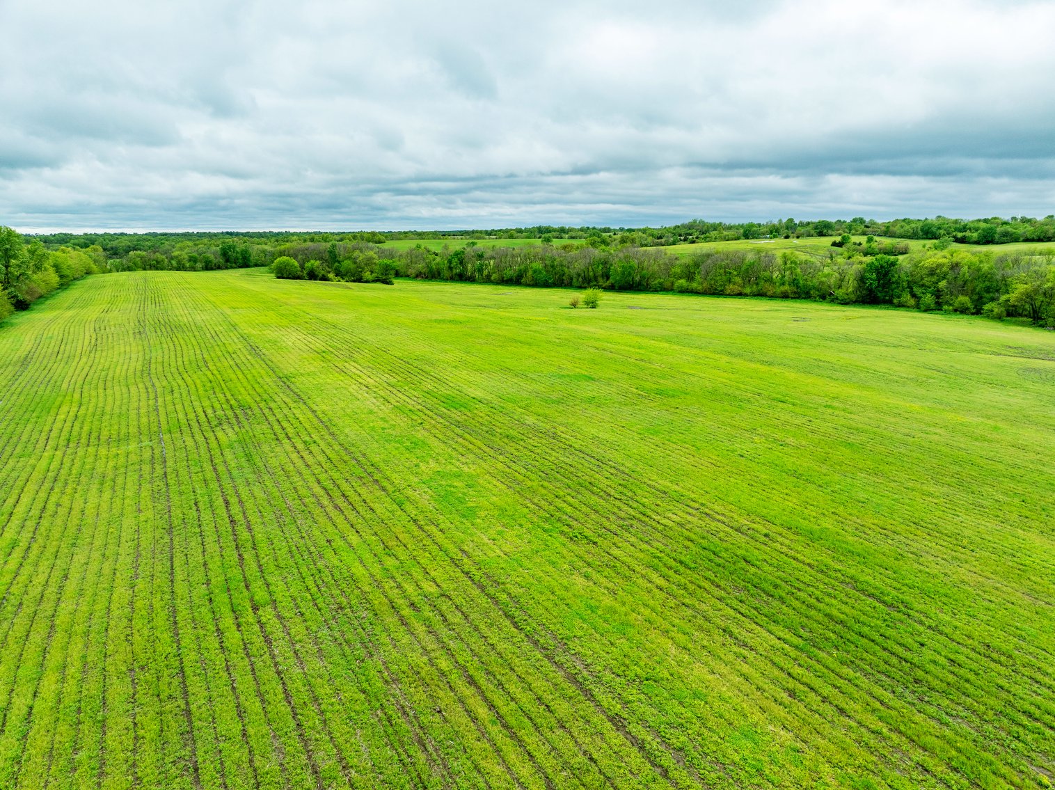 Image for 129.73 acres m/l, Hwy 6, Humphreys MO 64646, MLS 24026595