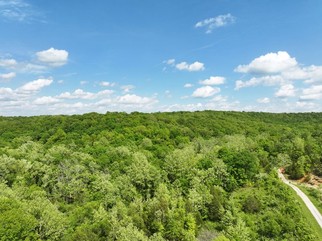 Image for Hidden Valley Lane, Ste Genevieve, MO 63670 (MLS #24027731 )