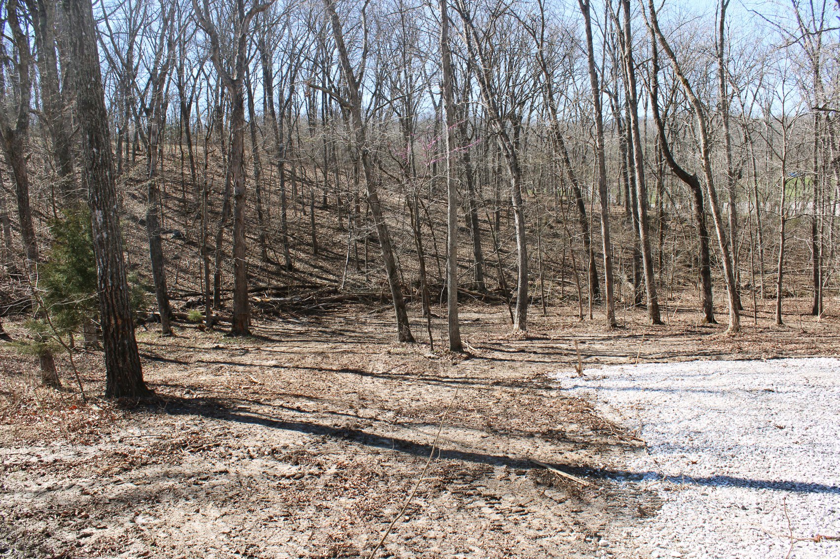 Image for Lake Perry Lot 134, Perryville MO 63755, MLS 24025608