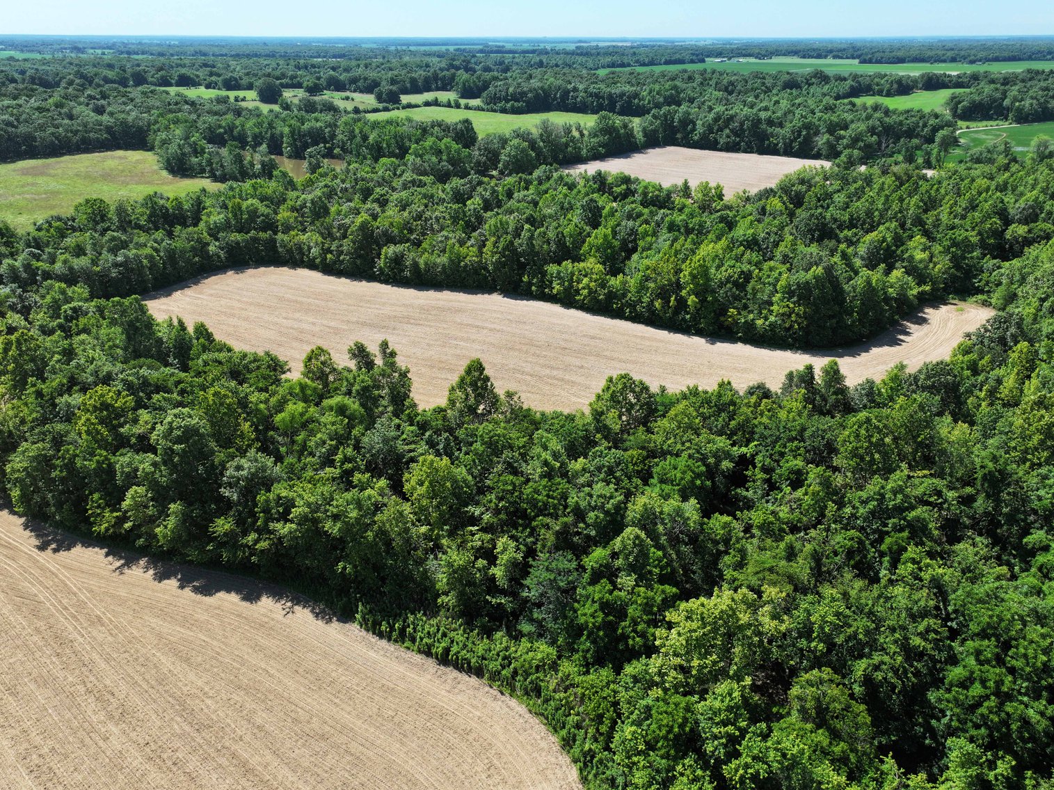 Image for County Road N-3, Doniphan Missouri 63935, MLS #24040216